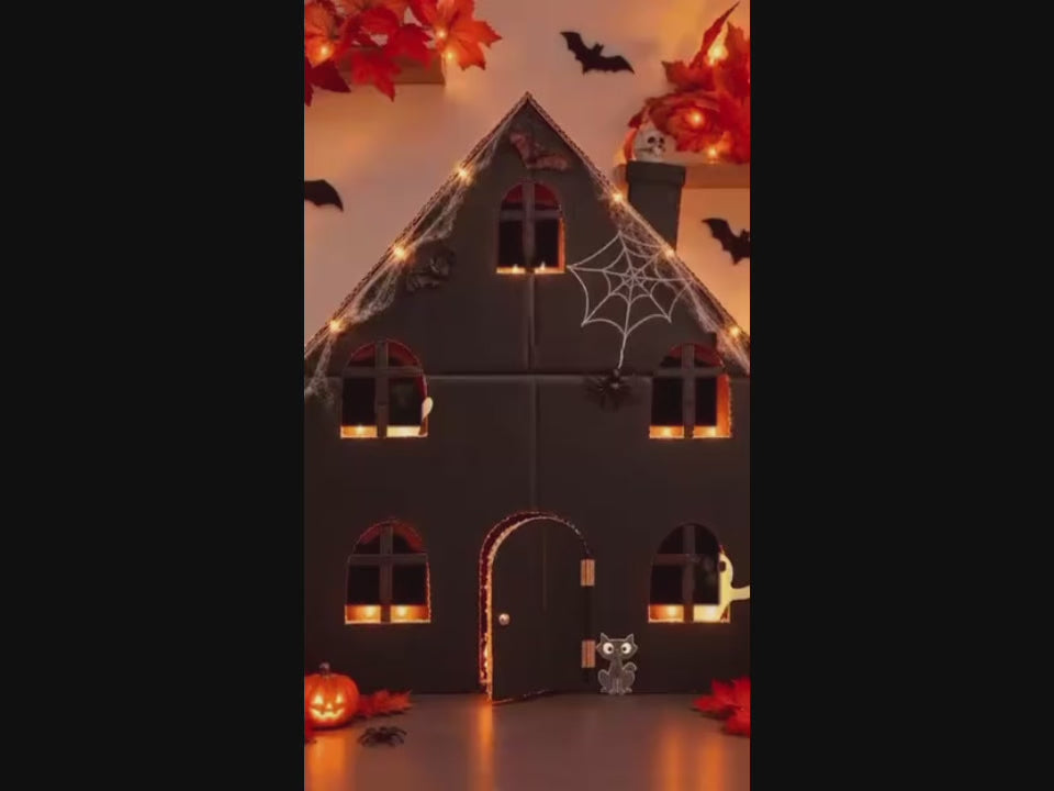 Vidéo